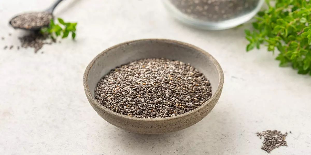 Выращивание конопли: гидропоника как оптимальный способ получения урожая Выращивание конопли: гидропоника как оптимальный способ получения урожая